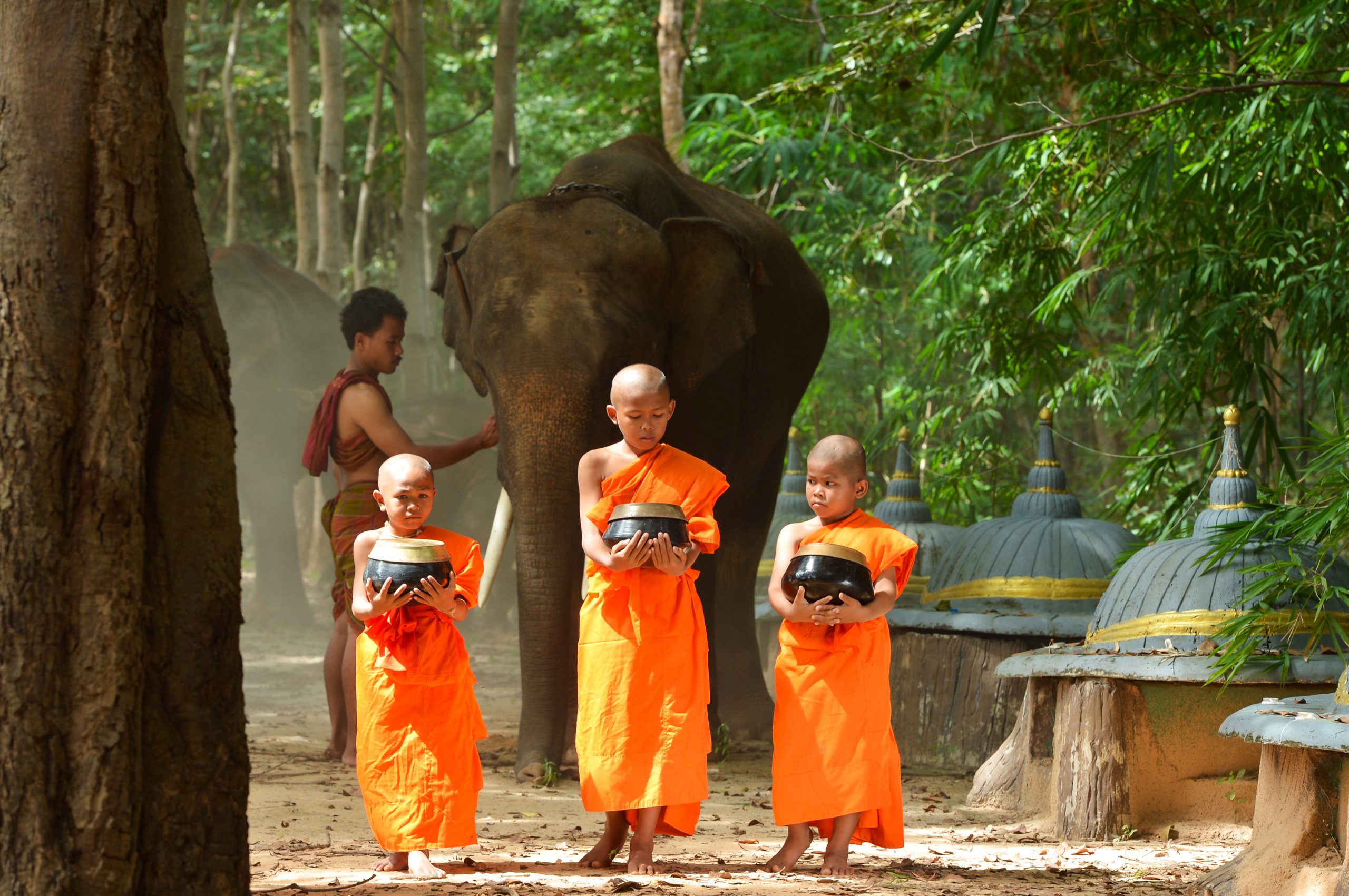 Monk and Elephant  ,Surin Thailand